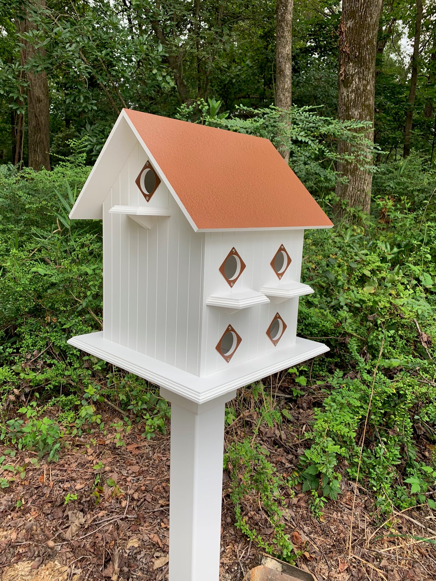 Purple Martin Manse