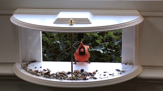 Clearview Window Feeder