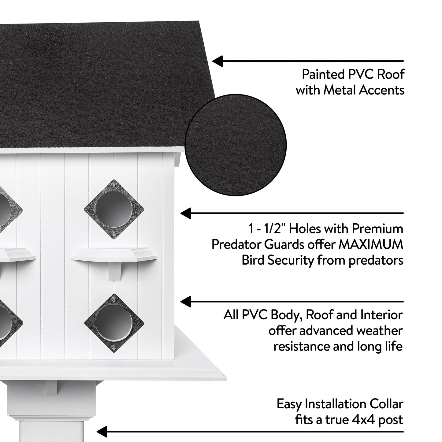 Purple Martin Manse