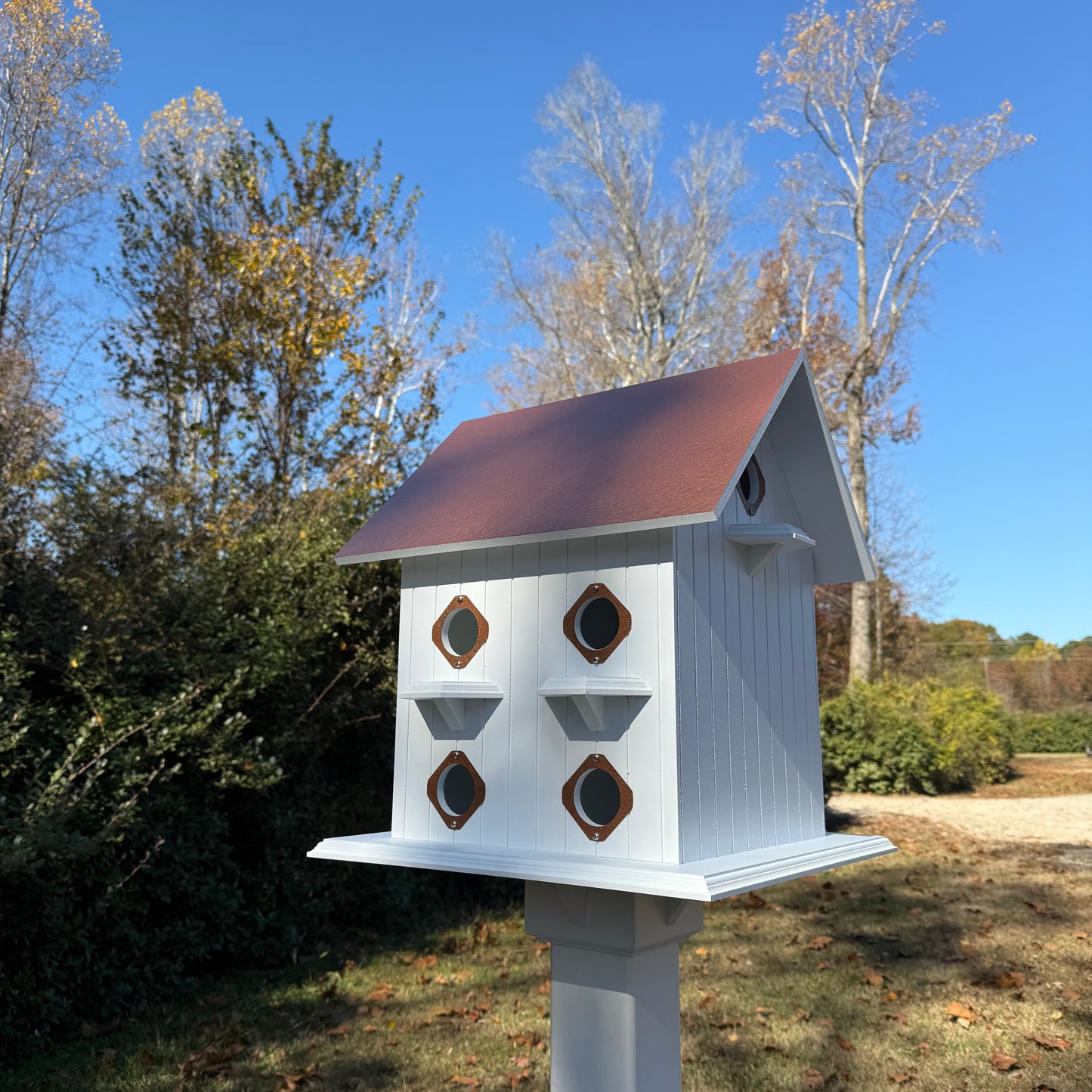 Purple Martin Manse