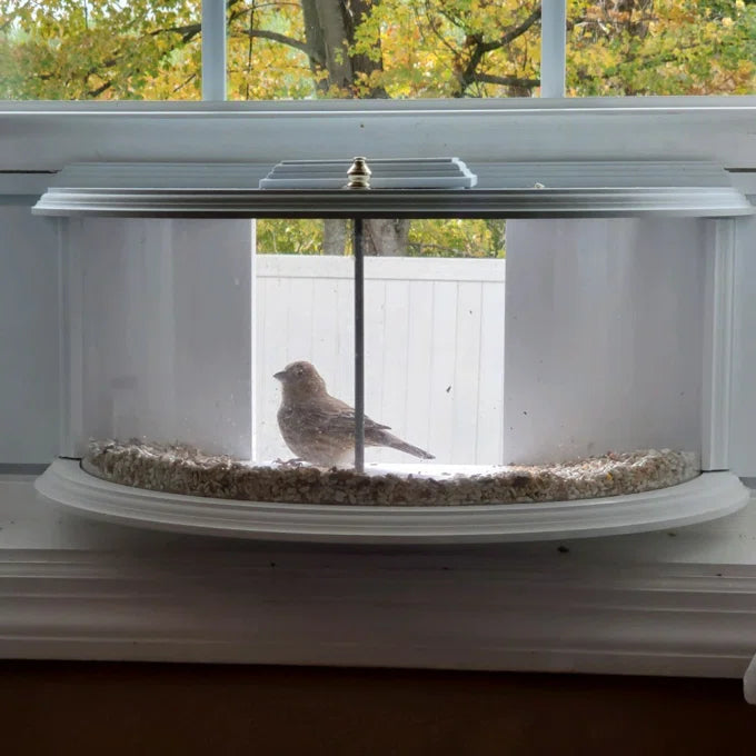 Clearview Window Feeder