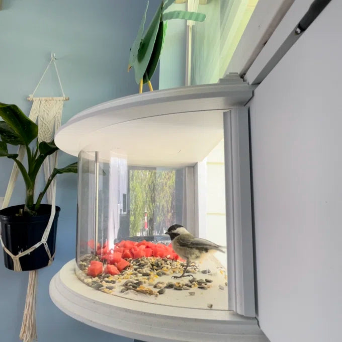 Clearview Window Feeder